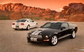 Ford Mustang Ford Mustang Shelby Gt Ford Mustang Shelby 2007 Ford Mustang