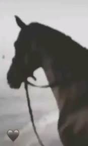 pin by gazai no on my saves video in 2021 beautiful photography nature couple wallpaper relationships iphone wallpaper quotes love