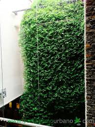 Resultado Jardines Verticales Jardineria Vertical Proyectos De Jardin
