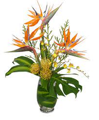 City wide flower plants offers fresh flower delivery new york. Tropical Flowers Free Same Day Delivery In Nyc