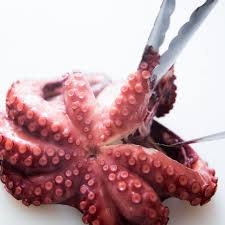 Each arm has 280 suckers to help the octopus. Perfectly Cooked Boiled Octopus Recipe