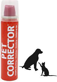Amazon Com The Company Of Animals Pet Corrector Spray For Dogs Dog Training Spray To Stop Barking And Unwanted Behaviors 50 Ml The Company Of Animals Pet Supplies