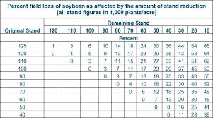 Help Your Soybeans Survive Hail Season Syngenta Know