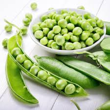 Image result for Pisum