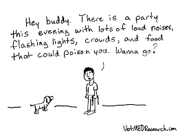 4th Of July Safety Tips And Cartoons From Vetmedresearch Com A Fun Way To Education Clients Free Cartoons To Sha Free Cartoons Safety Tips Cartoon