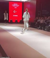 Be sure to measure your kitty for her new cat clothes so they fit right and are comfortable to wear. Cat Steals Show When It Struts Its Stuff Alongside Models Daily Mail Online