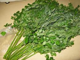 A wide variety of moringa oleifera tablets options are available to you, such as type. Moringa Leaves Thoran Mix Malaysian Verve Noun