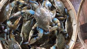 Maryland caught crabs are caught daily and steamed perfectlty. 10 Places To Pick Crabs Around The Dmv Eater Dc