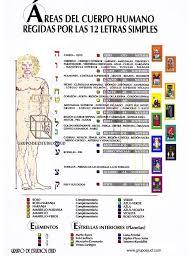 Pin En Tarot Cards Informacion Www Grupoejud Com