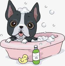 Dogs Take A Bath Dog Take A Bath Bathtub Png Transparent Clipart Image And Psd File For Free Download Puppy Cartoon Dog Clip Art Boston Terrier Funny