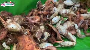 If setapak come my area here a bit far , but nvm , you can travel here try out the kajang satay while try ah wah at shell station next to the drive thru mcdonalds at jalan pahang, so far i find he is the. First Indian Shell Out In Brickfields What S Happening Around Idlythosai Tv Youtube