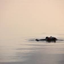 *the information was submitted by our reader mendy raiffa. Chris Larsen Net Worth 2020