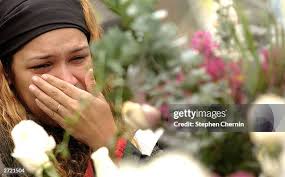 406 American Airlines Flight 587 Photos & High Res Pictures