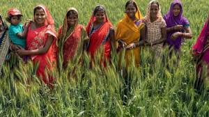 Krishi Sakhi Yojana
