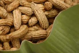 How To Keep Peanuts In The Shell Fresh | Ehow