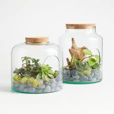Shop Glass Terrarium With Cork Lid Create A Petite Wonderland Real Or Faux In Our Handcrafted Terrariums Hand Glass Terrarium Terrarium Large Glass Terrarium