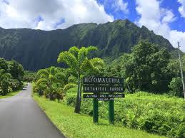 Hinano tangaro explains how she loves taking care of these plantʻs. Aloha From Hawaii A Visit To Ho Omaluhia Botanical Garden Connect With Nature Connect With Yourself