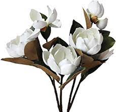 Maybe you would like to learn more about one of these? Amazon Com Artificial Magnolia Flowers