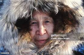 261 Bettles Stock Photos, High-Res Pictures, and Images