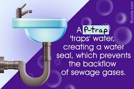 all about p trap: purpose, installation