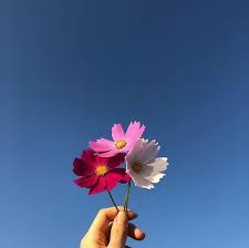 Image About Hand In Bright Bish By Insta Awdoreable Fitness Fit Heath Abs Workout Nike Https Weheartit C Flower Aesthetic Flowers Beautiful Flowers