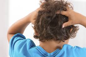 Permanent hair dye has ammonia as a key ingredient. 7 Questions To Get Rid Of Head Lice Brunet