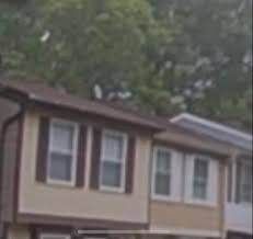 22 x 44 window screen. Andersen 31 7 8 In X 54 27 32 In White Double Hung Window Insect Screen 2846 1610132 The Home Depot