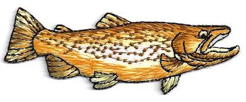 Daily Limit Exceeded Iron On Patches Custom Embroidered Patches Star Wars Patch