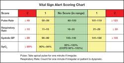 43 punctual vitals chart adults