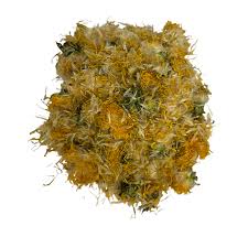 Image result for Taraxacum