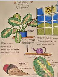 The perfect mix depends on the cactus type you wish to grow, plus you'll need. Pin By Sara Morgan Nagrant On Garden Indoor Calathea Plant Plant Care Houseplant Plant Care