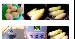 Pulut kuning noxxa 5 minit saja. Jagung Rebus By Noxxa By Wani Sukarno Queenbee By Mek