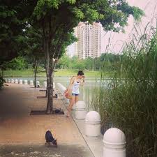 The town of park city is located just a few minutes away from the salt lake city international airport in the state of utah. Desa Park City Dog Park Kepong Kl City Dog Park City Dog Park