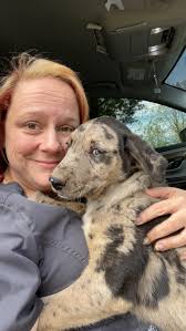 Home health nurse's favorite work pet