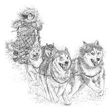 dog sled finished drawing this is the drawings married animaux a colorier chien de traineau coloriage anime chibi