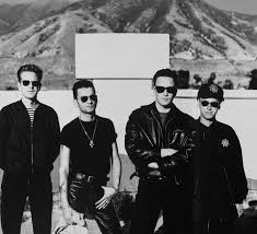 Image result for White 1990 Land O Lakes