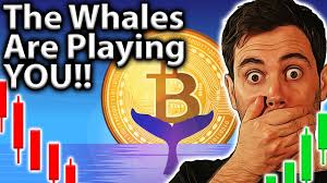 What is certain, is that the limit of 21 million bitcoins is much less important than many think. Will Bitcoin Collapse At The 21 Million Limit Youtube
