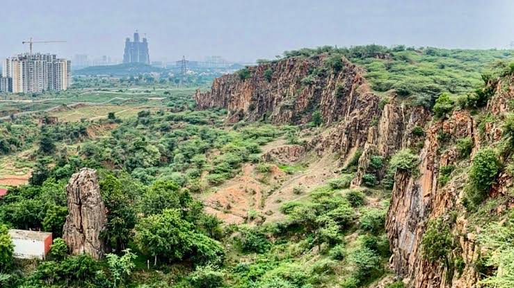 Aravalli Edge Restoration