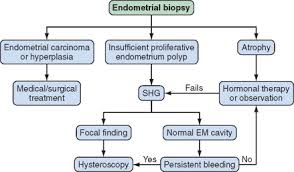 Endometrial Biopsy An Overview Sciencedirect Topics