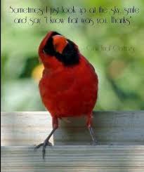 Birds Chirping In The Morning Spiritual Meaning Pin By Cow Boy On Words Cardinal Birds Meaning Cardinal Birds Bird Quotes