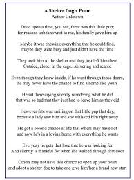 Pin By Dianna Lopez On Dogs And A Few Others Rescues Dog Poems Pet Poems Shelter Dogs