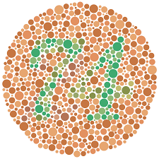 Among the men's population all over the globe, 8% have it while 0.5% of women are suffering from it. Color Blindness Wikipedia