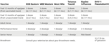 Horse Vaccine Chart Www Bedowntowndaytona Com