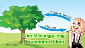 Tuntasnya, terdapat pelbagai langkah yang dikenal pasti dapat mengatasi masalah. Pencemaran Udara Pengertian Jenis Penyebab Dampak
