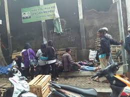 Sukro cikur pelopor pertama di . Harewos Garut Ratusan Karyawan Pabrik Bulu Mata Garut Kesurupan Puluhan Karyawan Pt Danbi Internasional Pabrik Bulu Mata Red Jl A Yani Kecamatan Karangpawitan Kabupaten Garut Kesurupan Massal Kamis 20 10 2016 Pagi Saksi Mata