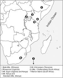 Image result for Coelachne africana