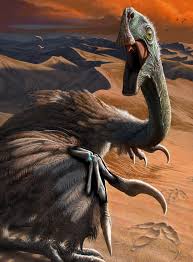 Image result for Pisiform Bone