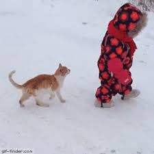 Animals Vs Small Children A Funny Gif Collection