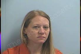 Katherine Collin — Dawson County Jail Bookings