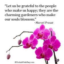 Best 15 Delicate Orchid Flower Quotes Flower Quotes Orchids Orchid Flower Arrangements